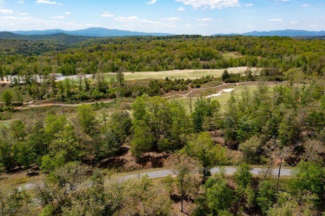 LT192 Trails End Way, Mineral Bluff, GA 30559