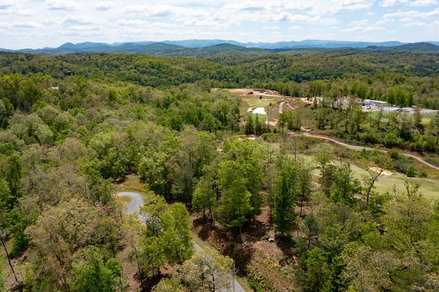 LT192 Trails End Way, Mineral Bluff, GA 30559