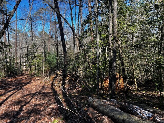 LOT5 Thrasher Dr, Blue Ridge GA, 30513 land for sale