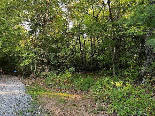 Listing photo 2 for LOT5 Thrasher Dr, Blue Ridge GA 30513