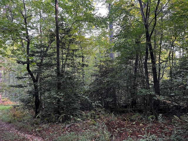 Listing photo 3 for LOT5 Thrasher Dr, Blue Ridge GA 30513