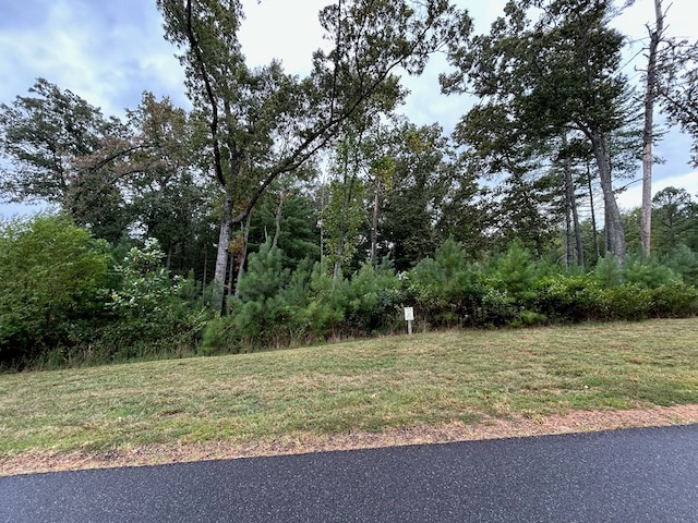 Listing photo 3 for LOT87 High Point Trl, Blairsville GA 30512