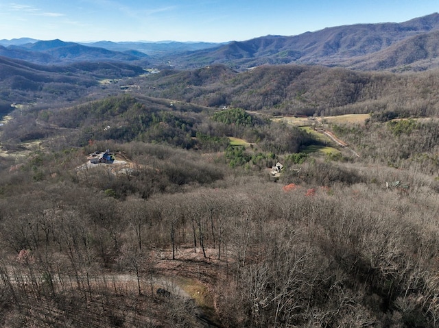 Listing photo 2 for LT12/13 Skyview Dr, Hayesville NC 28904