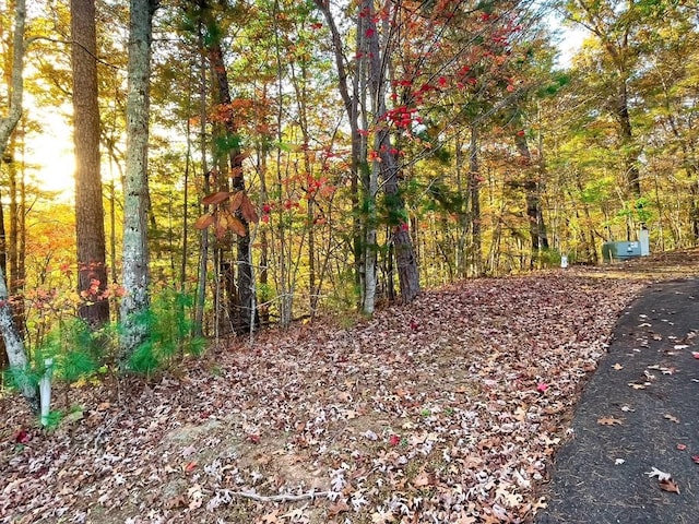 LOT23 Fox Trail Ct, Talking Rock GA, 30175 land for sale