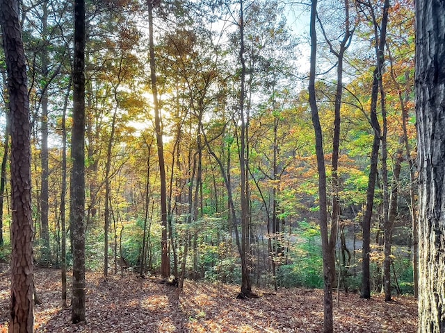 Listing photo 2 for LOT23 Fox Trail Ct, Talking Rock GA 30175