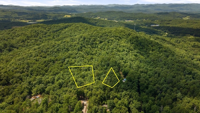 Listing photo 2 for 1AC Bruce Wike Ln, Brasstown NC 28902