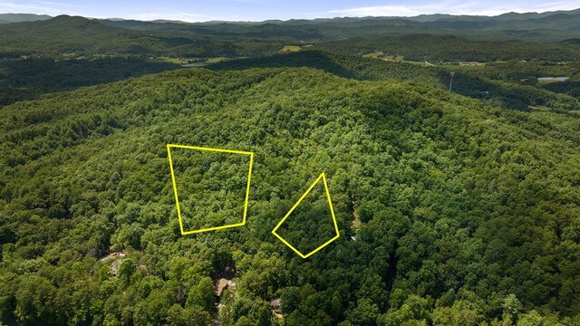 Listing photo 3 for 1AC Bruce Wike Ln, Brasstown NC 28902