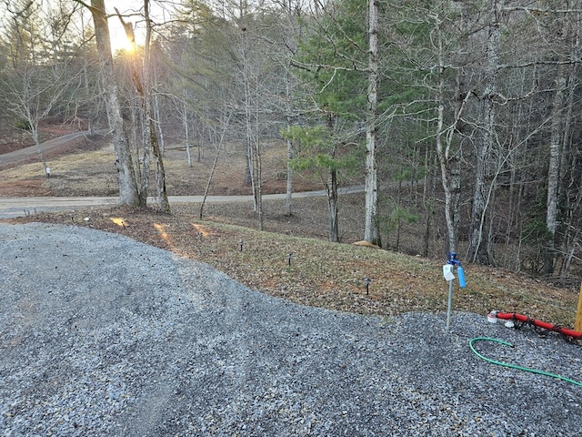 view of yard at dusk