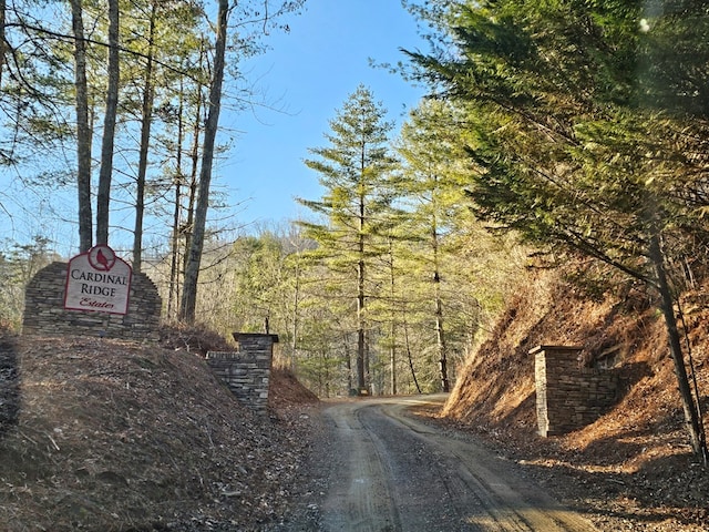 view of road