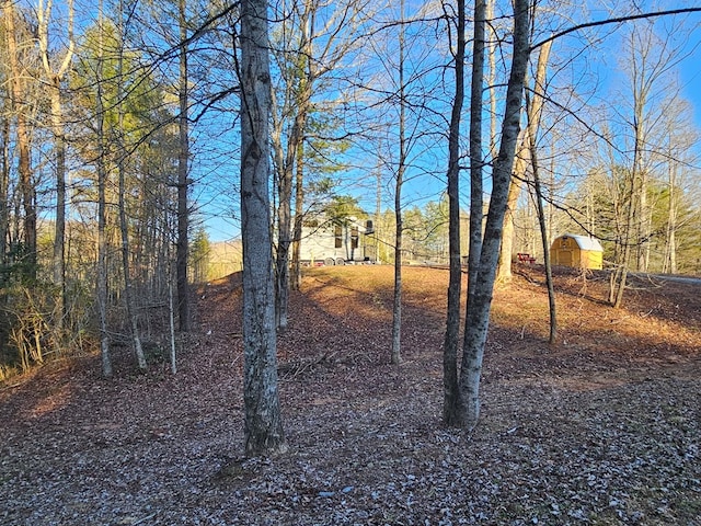 view of yard with a storage shed