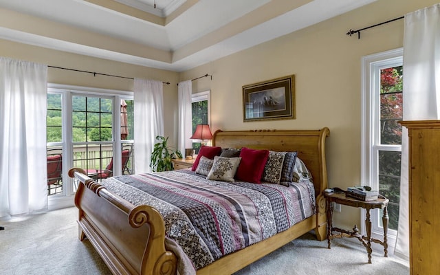 carpeted bedroom with a raised ceiling