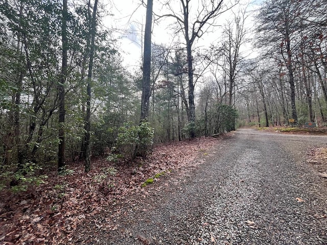 LOT31 Fox Hunter Ln, Brasstown NC, 28902 land for sale