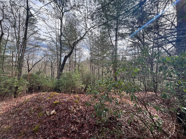 Listing photo 2 for LOT31 Fox Hunter Ln, Brasstown NC 28902