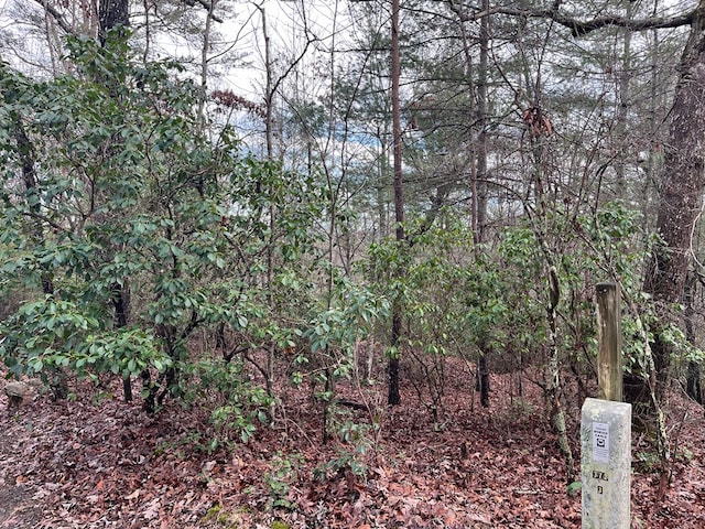 Listing photo 3 for LOT31 Fox Hunter Ln, Brasstown NC 28902