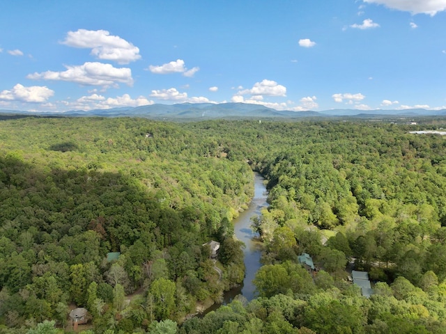 birds eye view of property with a forest view and a water and mountain view