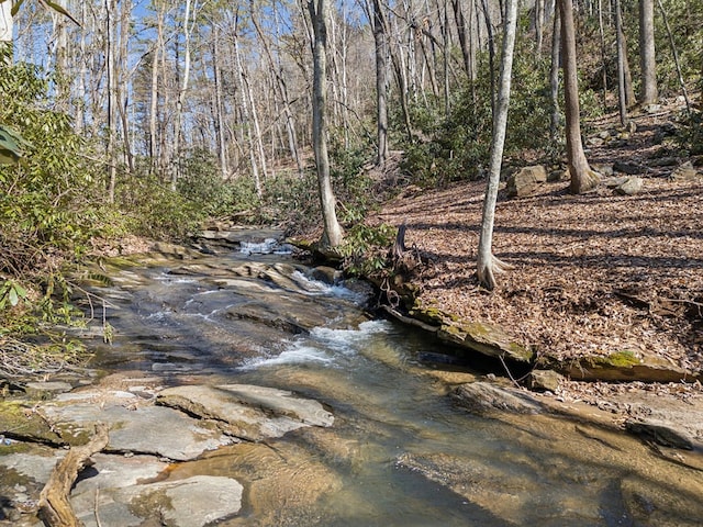 view of nature with a wooded view