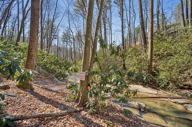 view of yard with a wooded view