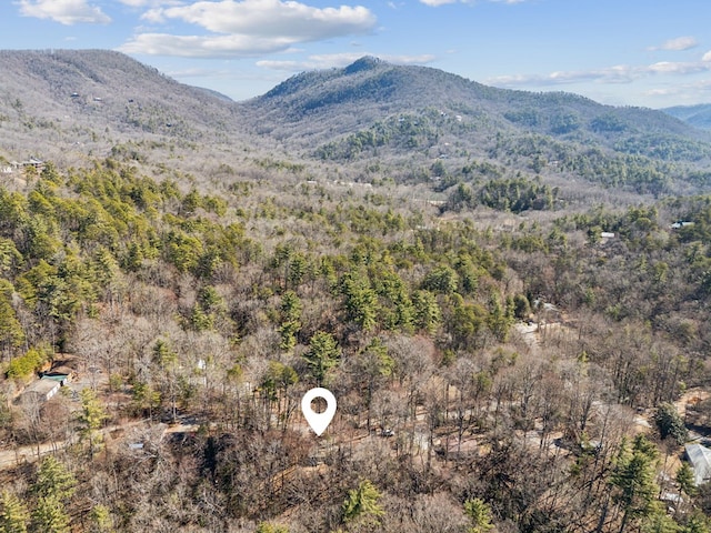 view of mountain feature with a view of trees