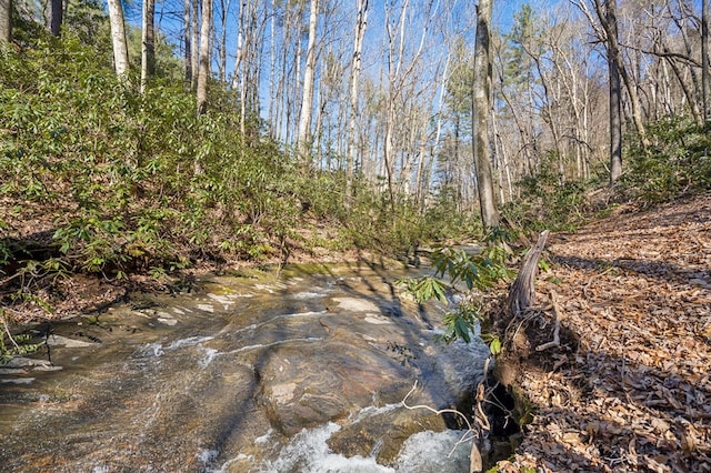 view of landscape featuring a forest view