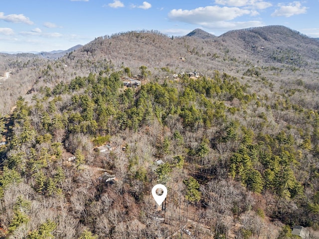 view of mountain feature featuring a forest view