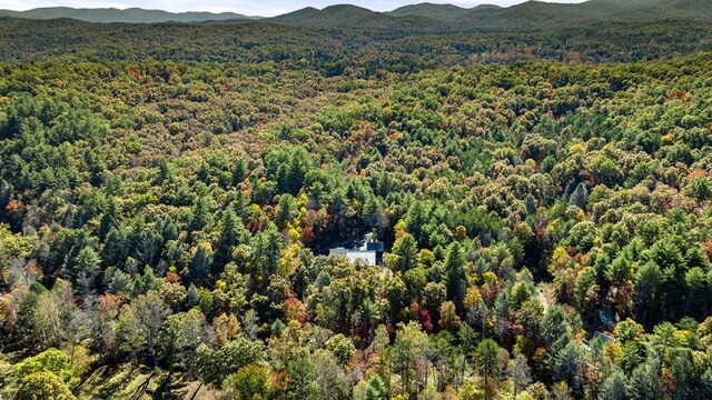 drone / aerial view featuring a mountain view