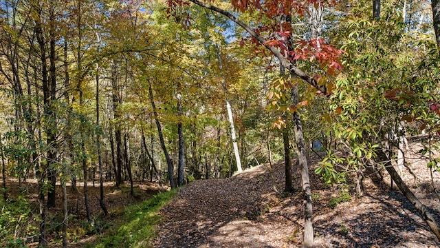 view of local wilderness