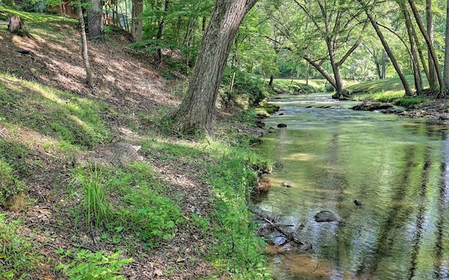 view of local wilderness