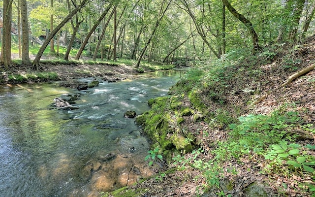 view of water feature