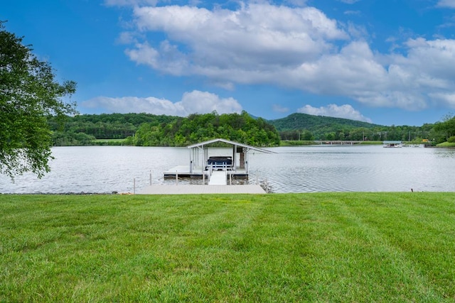 1537 Victoria Woods Dr, Hiawassee, GA 30546 - dock with a water view, a lawn, and a forest view