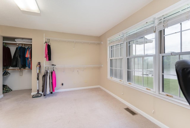 1537 Victoria Woods Dr, Hiawassee, GA 30546 - spacious closet with carpet flooring