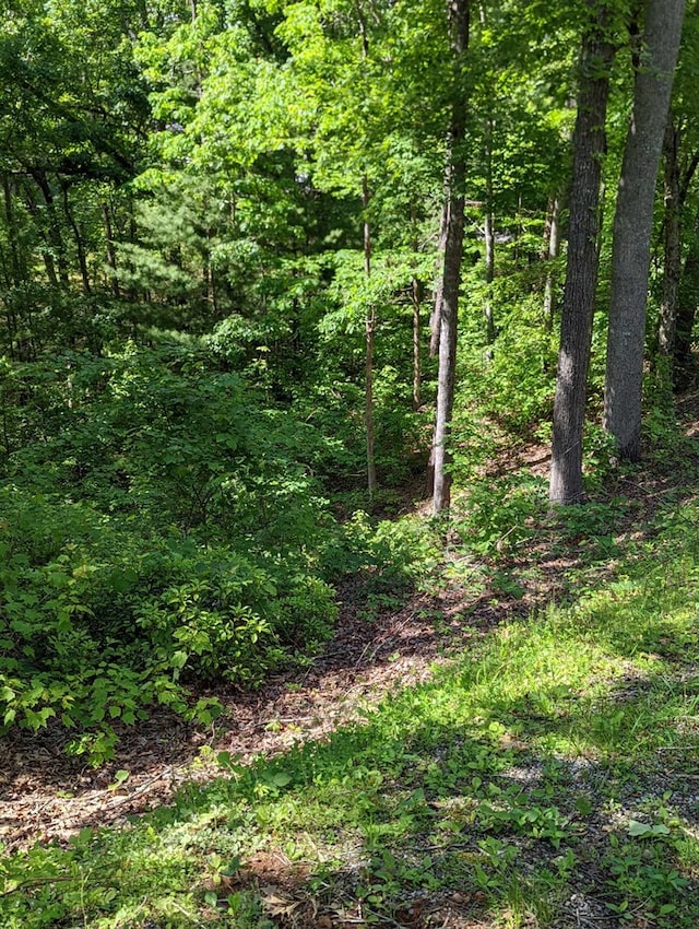 Listing photo 2 for LOT1 Highland Rd, Murphy NC 28906