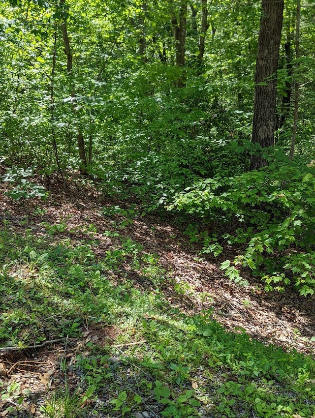 Listing photo 3 for LOT1 Highland Rd, Murphy NC 28906