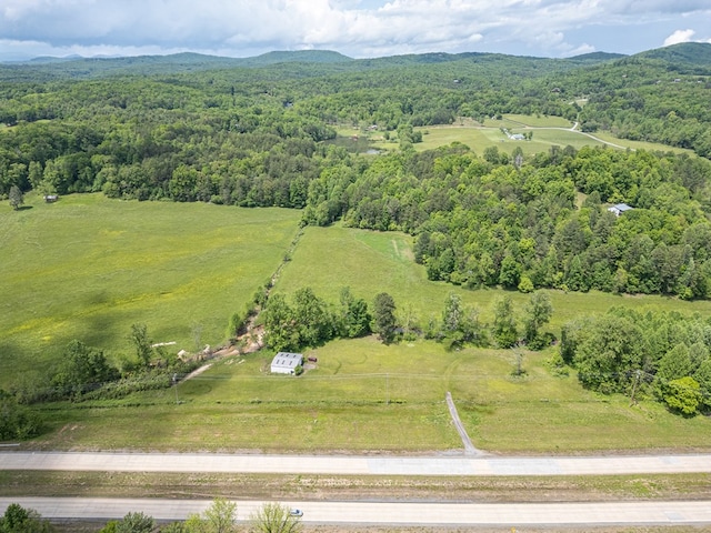 14747 Appalachian Hwy, Morganton, GA 30560
