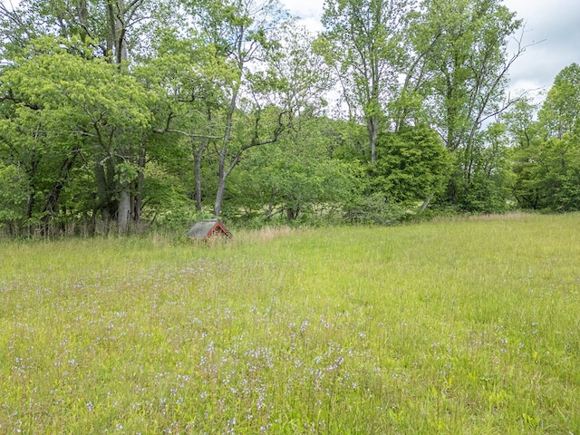 14747 Appalachian Hwy, Morganton, GA 30560