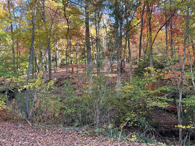 1 Bartin Rdg, Murphy, NC 28906