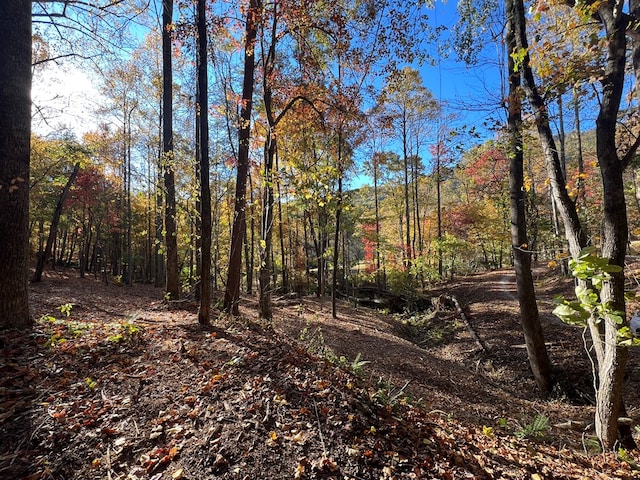 1 Bartin Rdg, Murphy, NC 28906