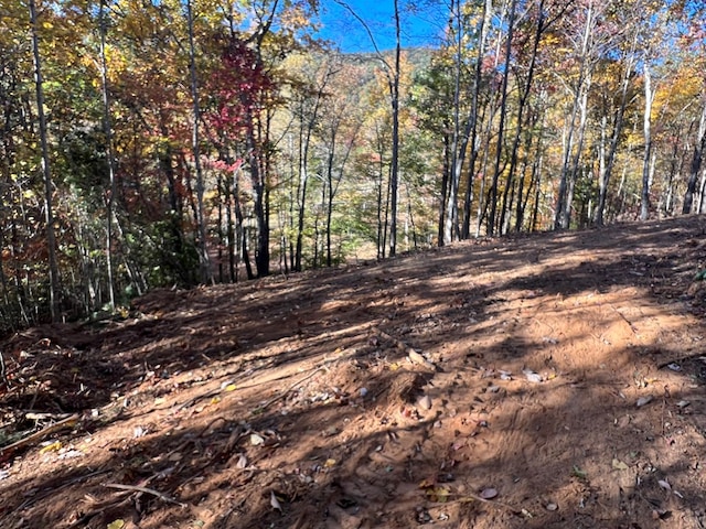 1 Bartin Rdg, Murphy, NC 28906