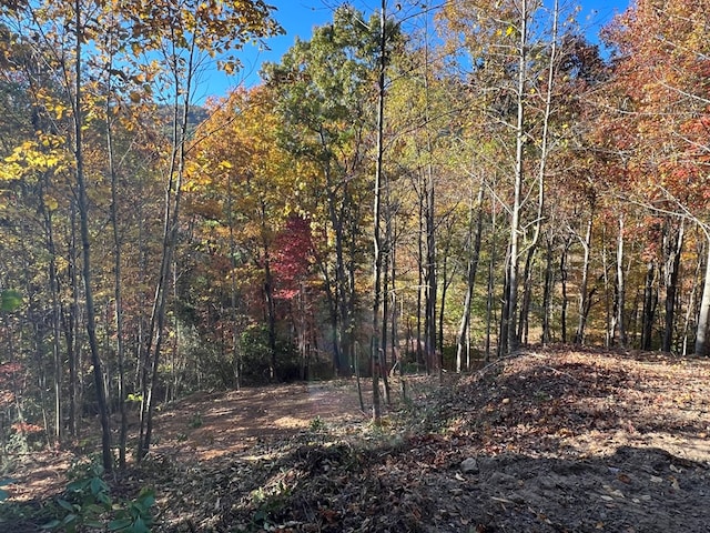 1 Bartin Rdg, Murphy, NC 28906