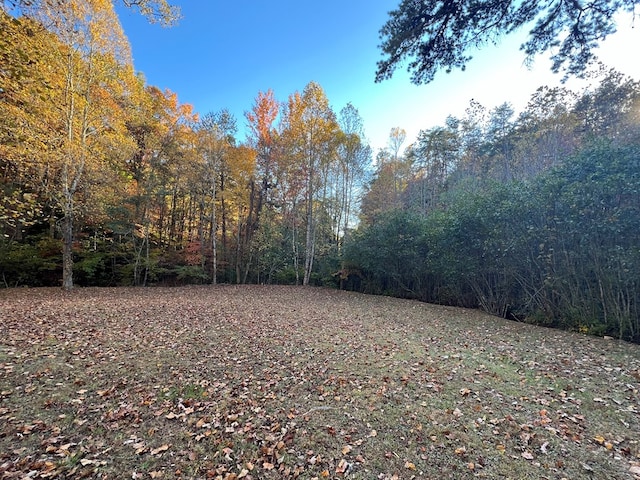 1 Bartin Rdg, Murphy, NC 28906