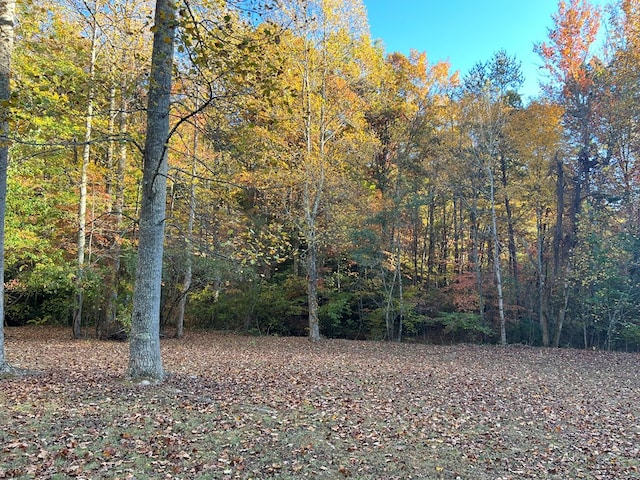 1 Bartin Rdg, Murphy, NC 28906