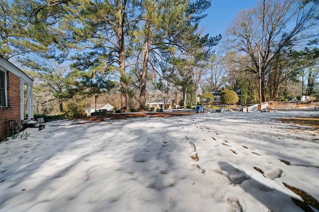 view of yard covered in snow