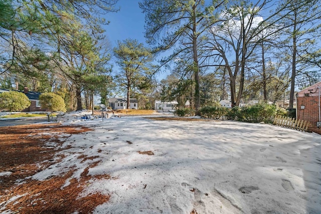 view of yard layered in snow