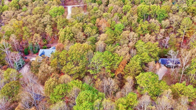 Listing photo 3 for LT291 Creekside Trl, Ellijay GA 30501