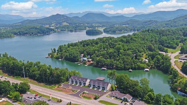 aerial view with a water and mountain view