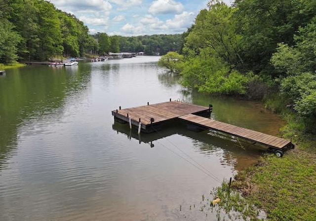 dock area with a water view