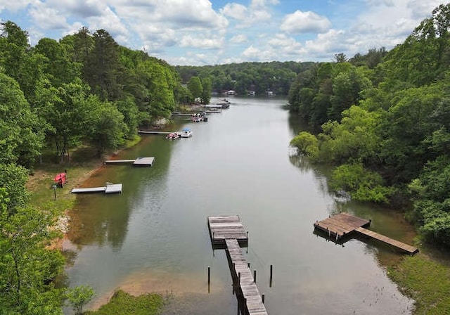 dock area with a water view