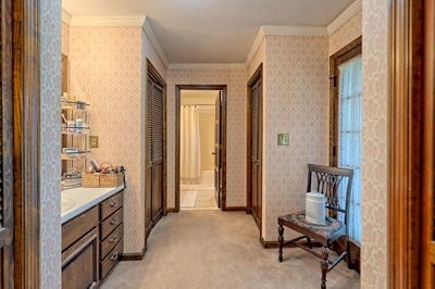 hallway featuring light carpet and ornamental molding