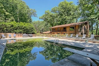 view of pool featuring a patio area and a diving board