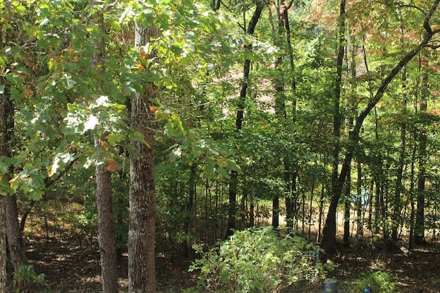 601 Sierra Cir, Murphy, NC 28906 - view of woods