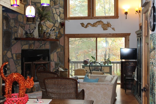 living room with a stone fireplace and hardwood / wood-style flooring